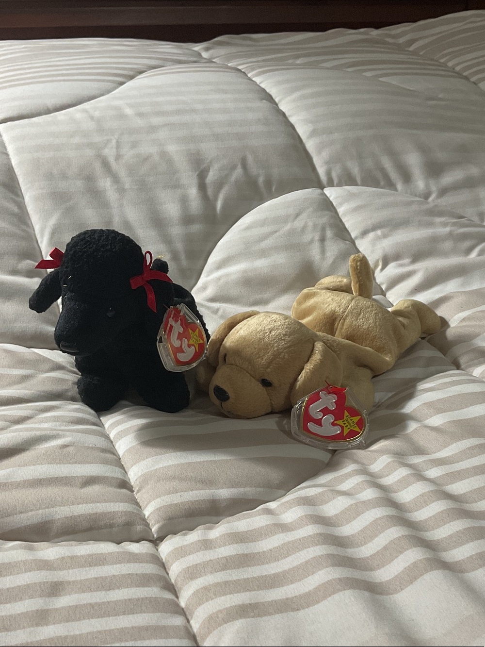 Ty Plush Puppy Duo - Black & Cream original Beanie Babies 1997